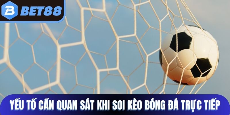 Yếu tố cần quan sát khi soi kèo bóng đá trực tiếp